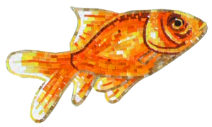 Funcolour Karin Wainwright Fish